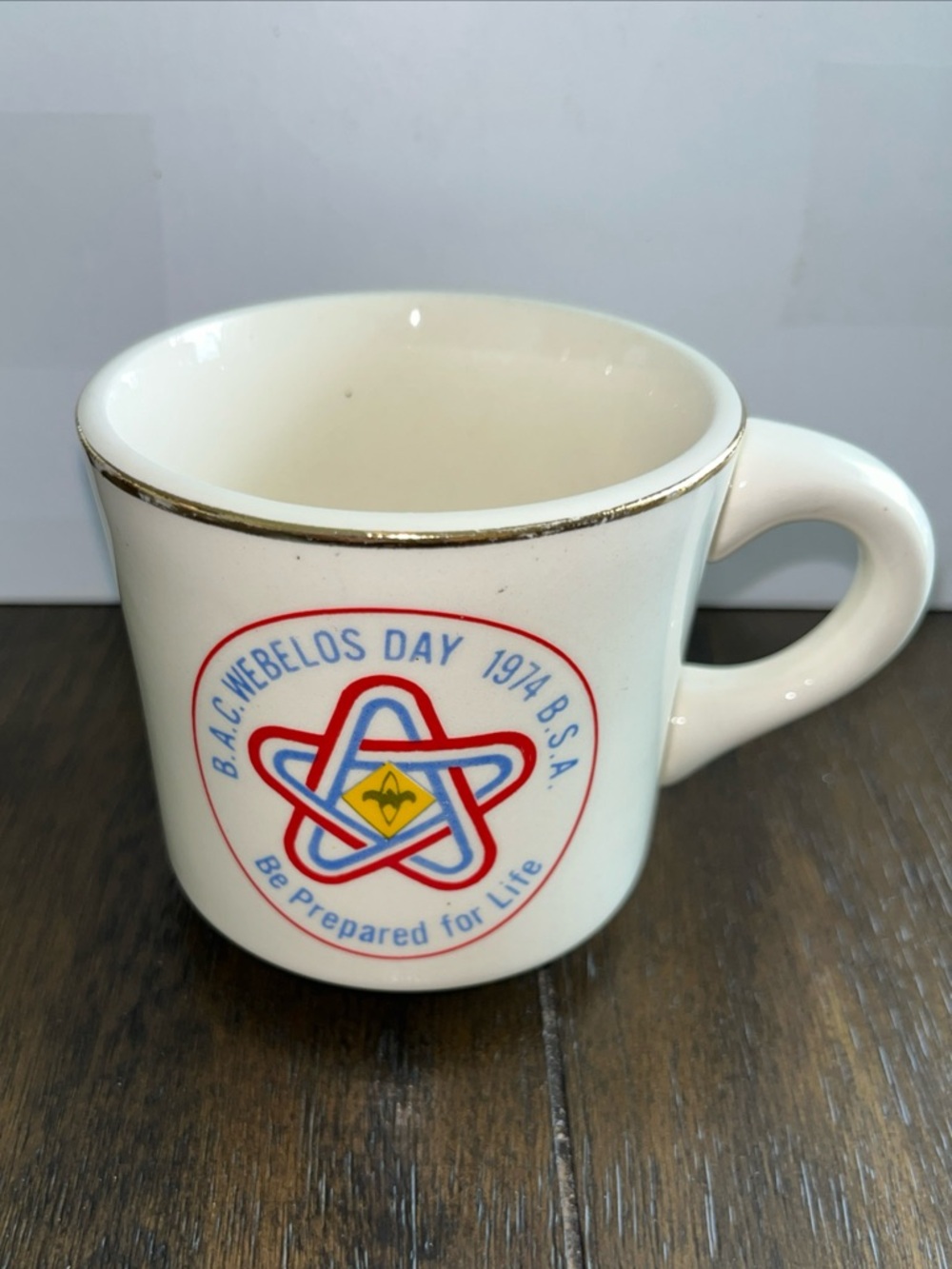 BSA 1974 Boy Scouts of America: B.A.C. WEBELOS DAY Coffee Mug USA